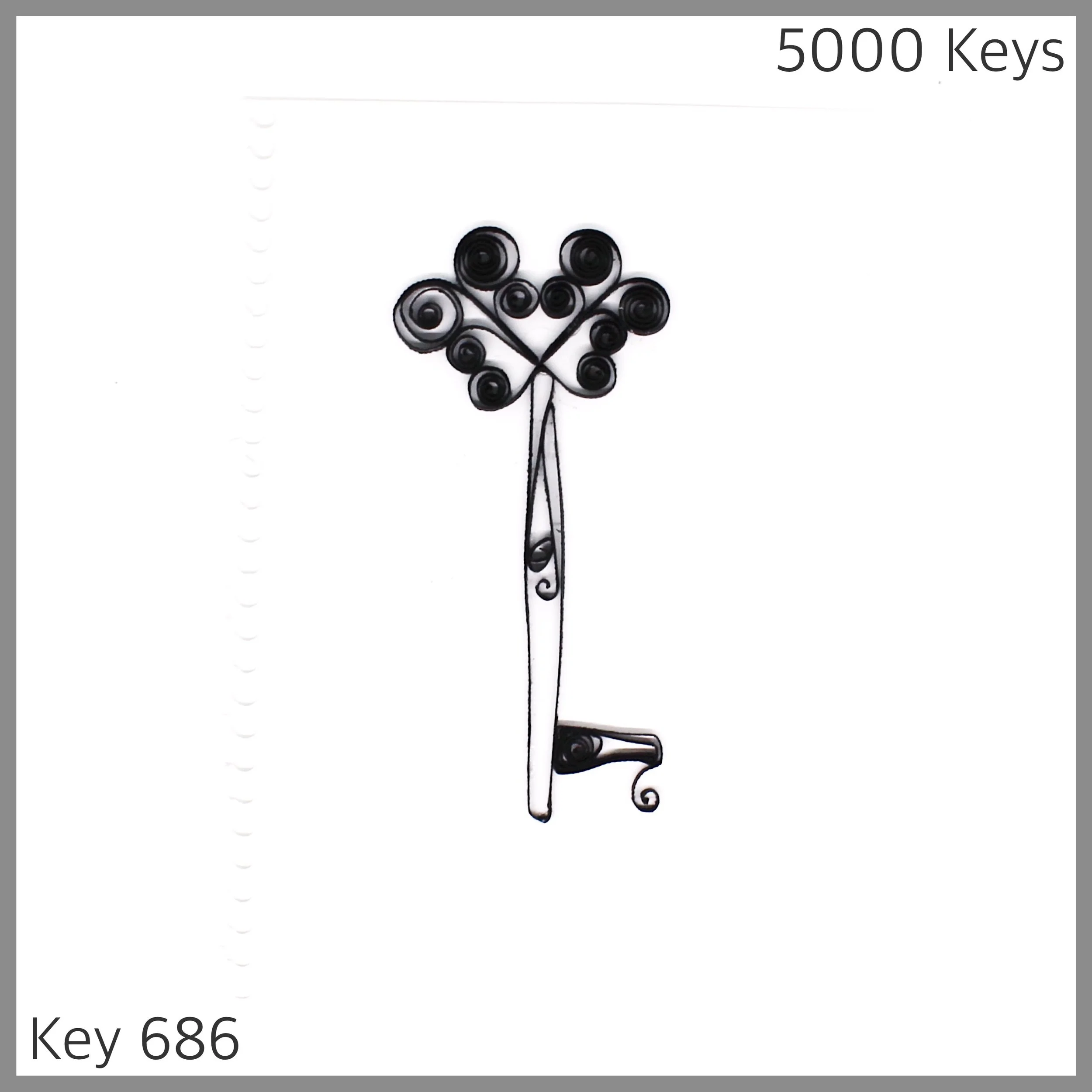 Key 686 - 1.JPG