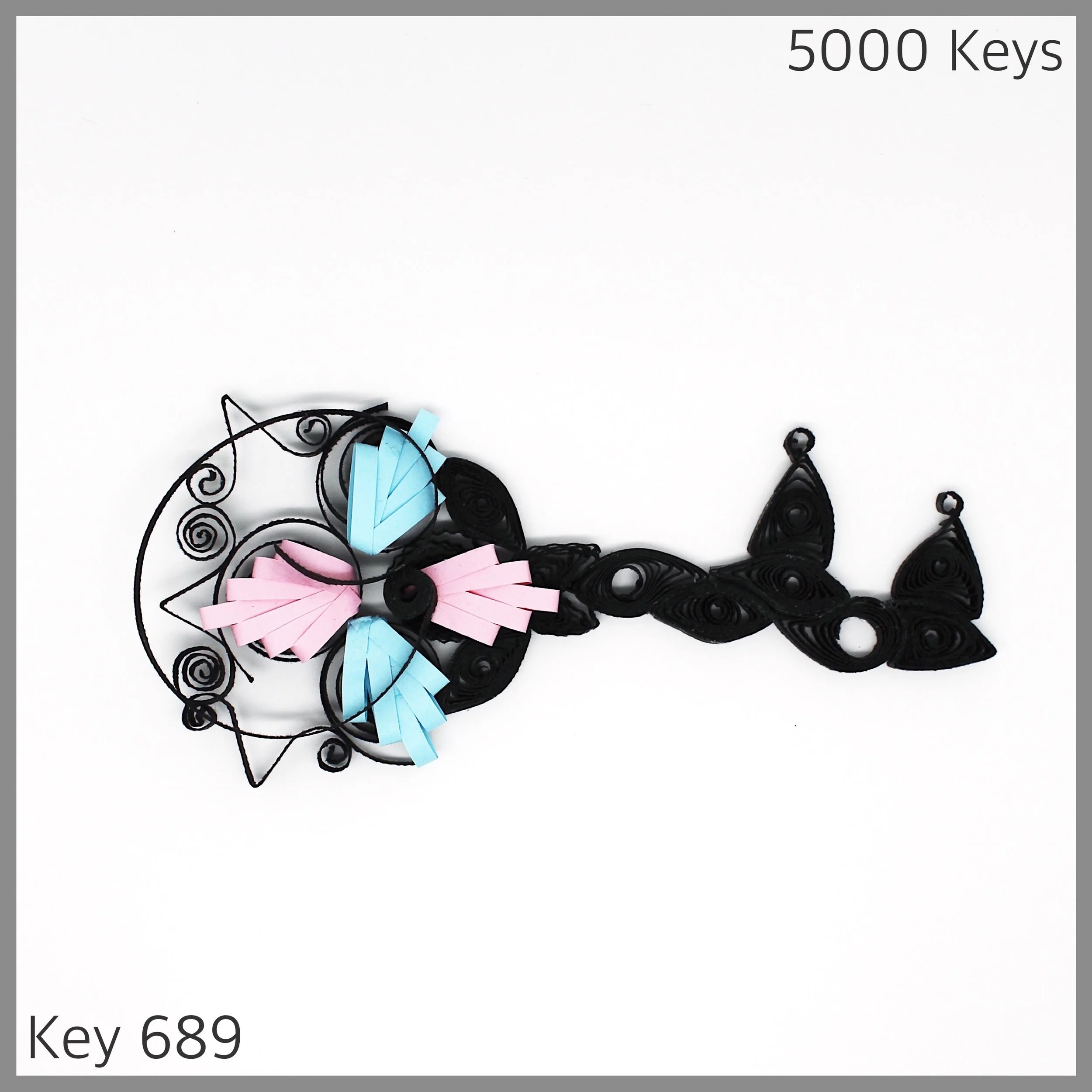 Key 689 - 1.JPG