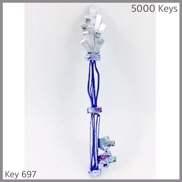 Key 697 - 1.JPG