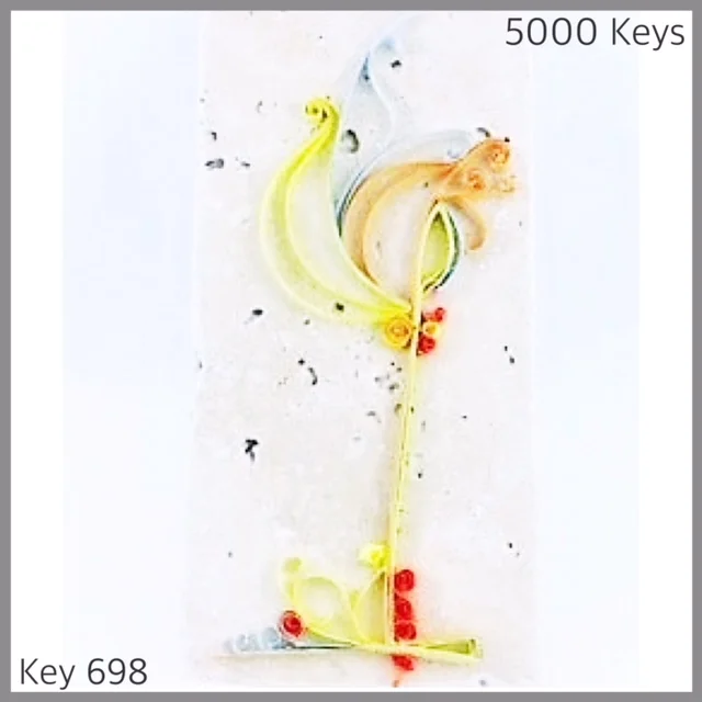 Key 698 - 1.JPG