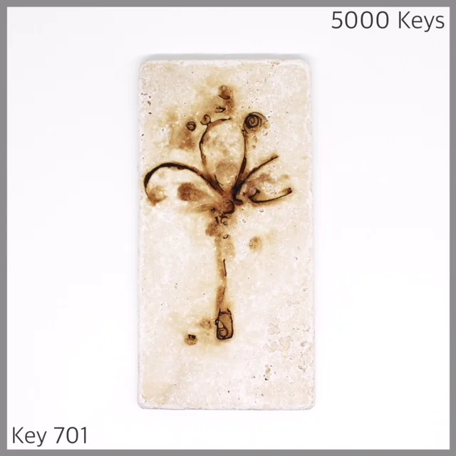 Key 701 - 1.JPG