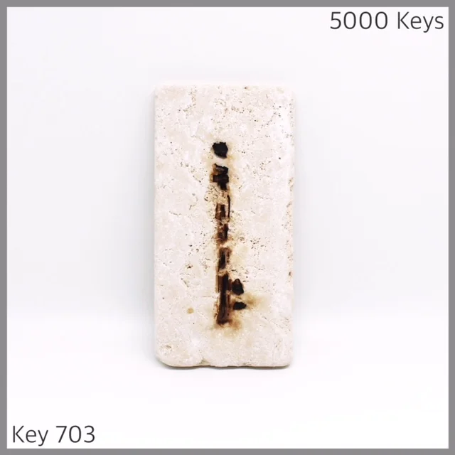 Key 703 - 1.JPG