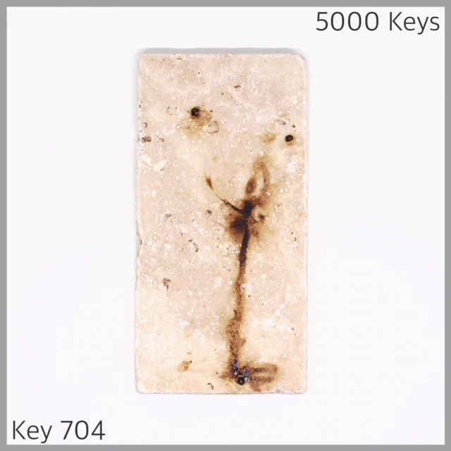 Key 704 - 1.JPG