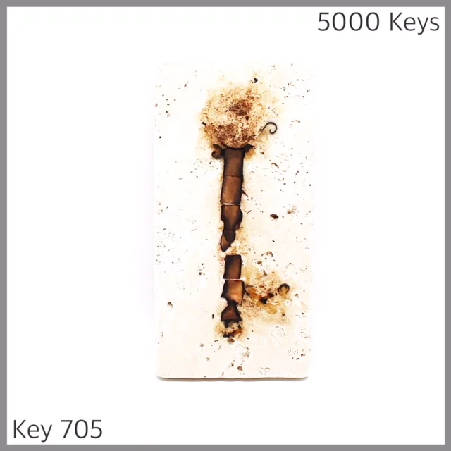 Key 705 - 1.JPG