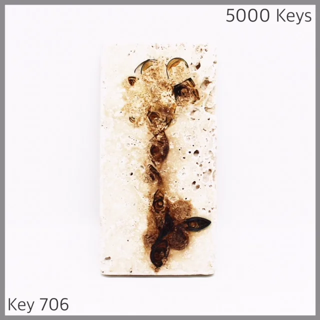 Key 706 - 1.JPG