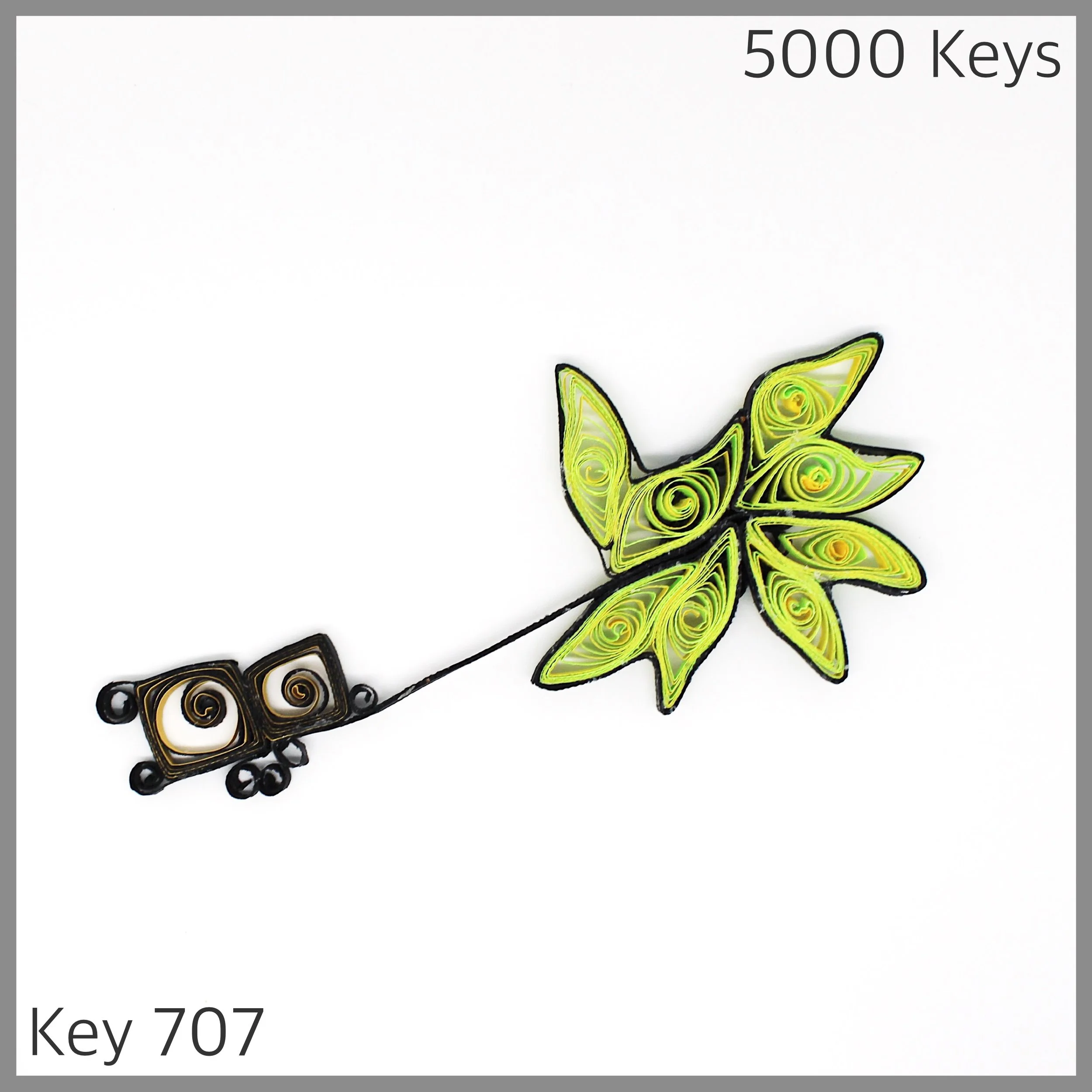Key 707 - 1.JPG
