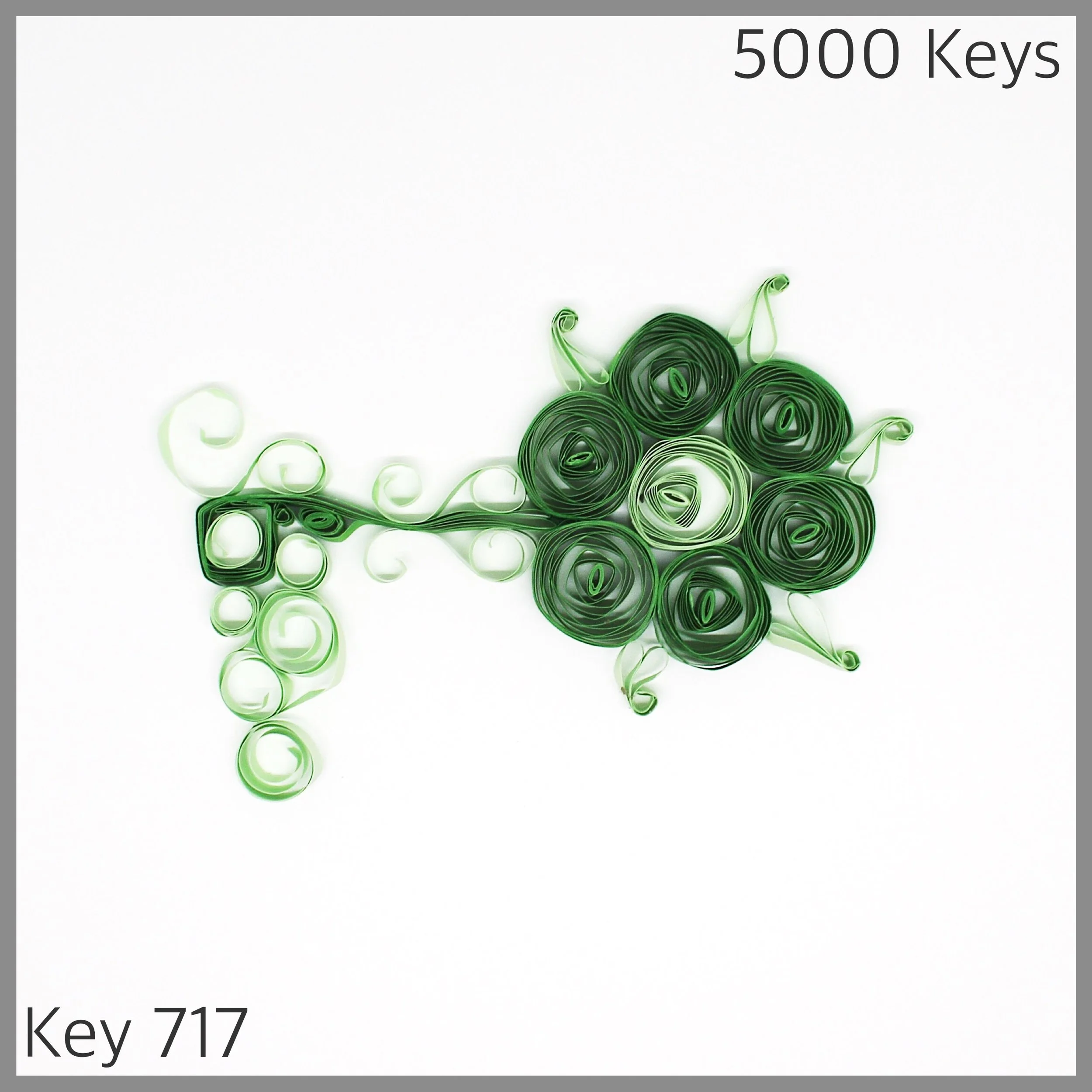 Key 717 - 1.JPG