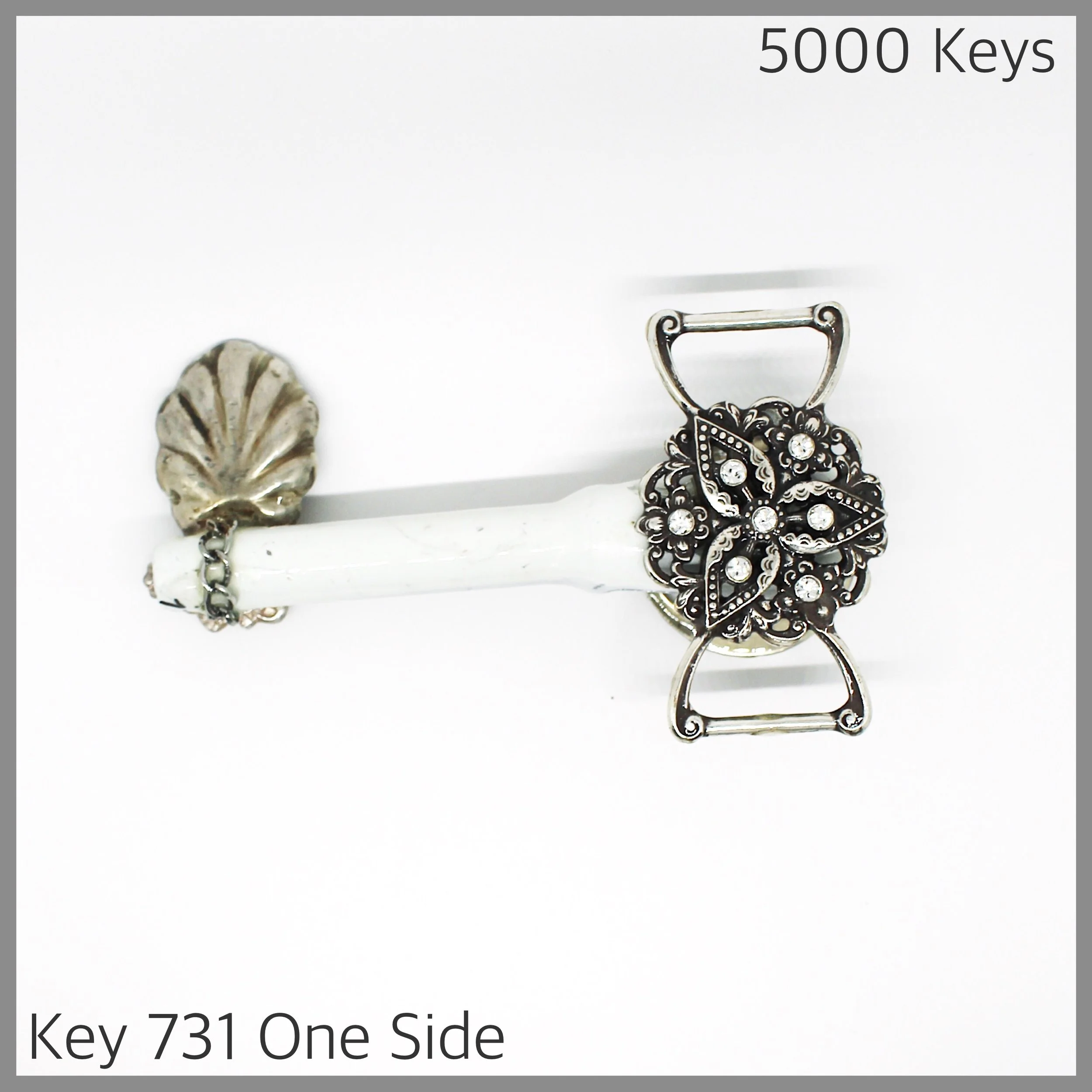 Key 731 one side - 1.JPG