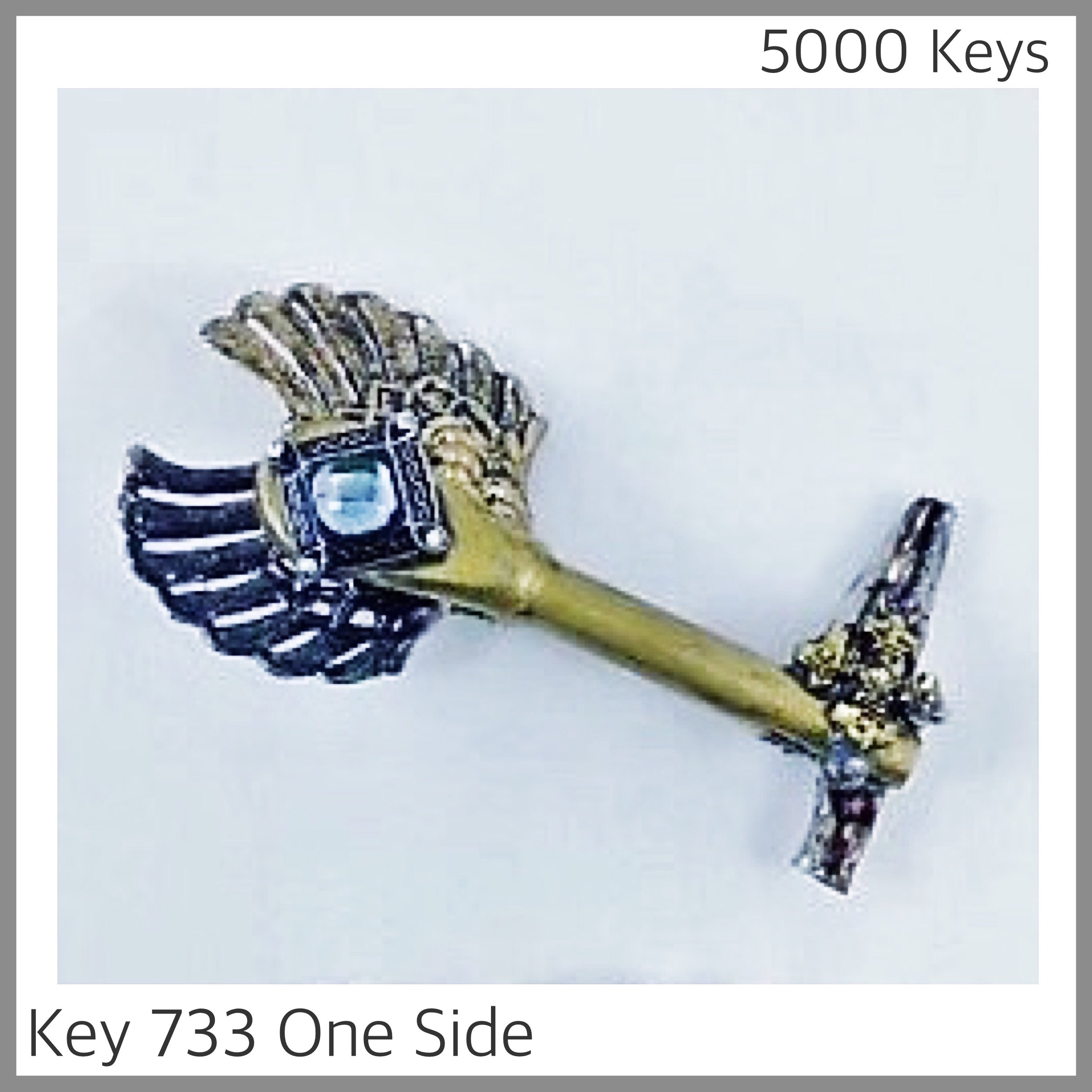 Key 733 one side - 1.JPG