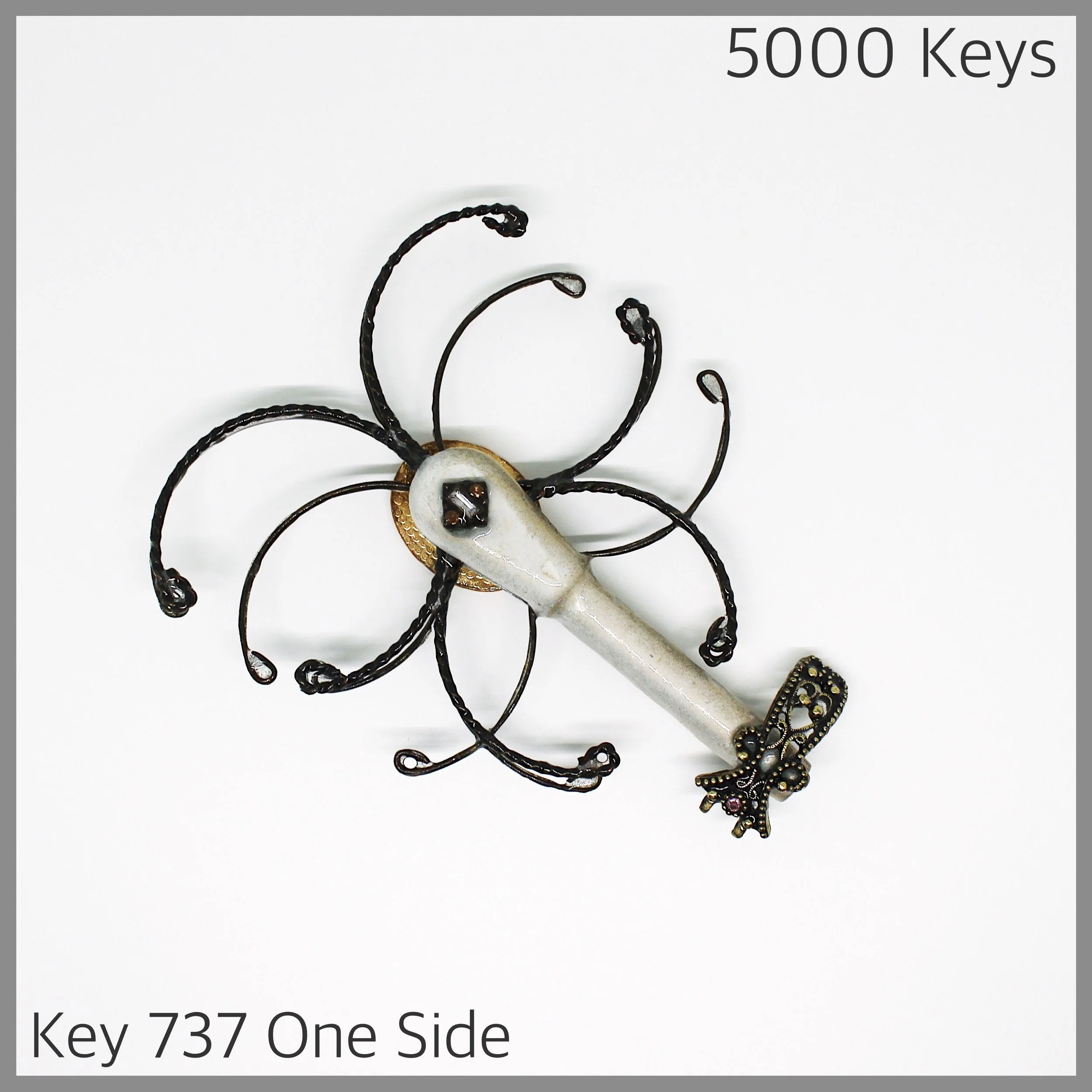 Key 737 one side - 1.JPG