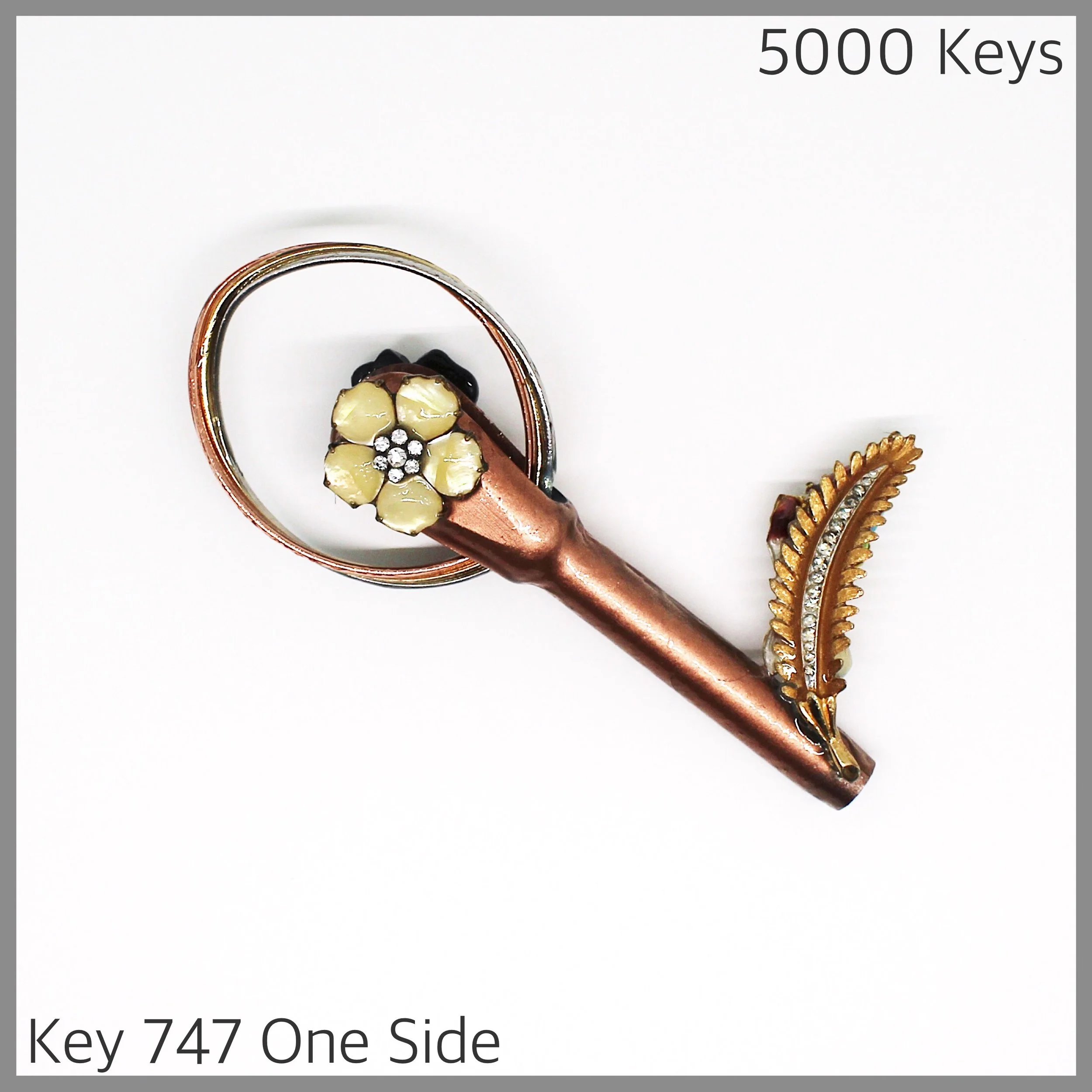 Key 747 one side - 1.JPG