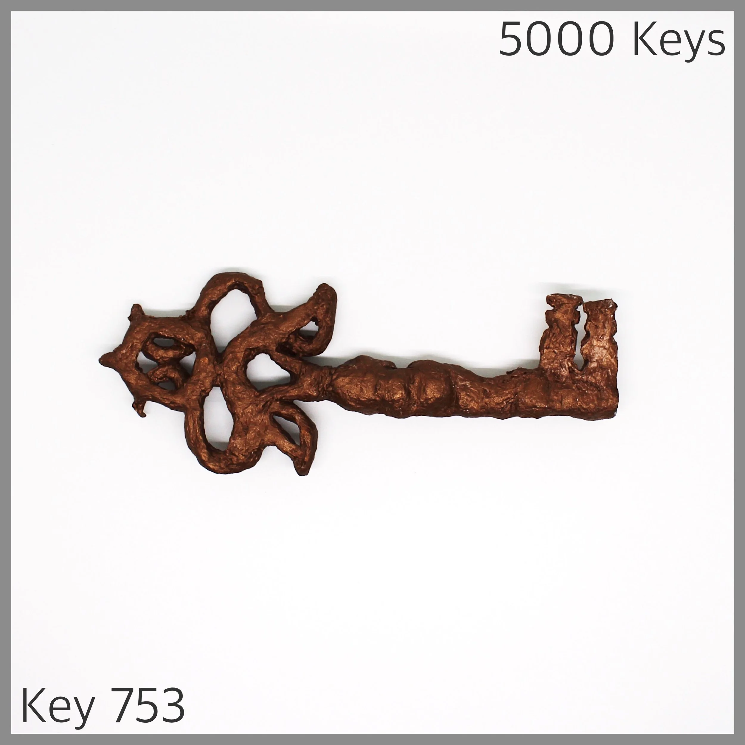 Key 753 - 1.JPG