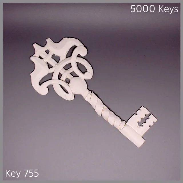 Key 755 - 1.JPG