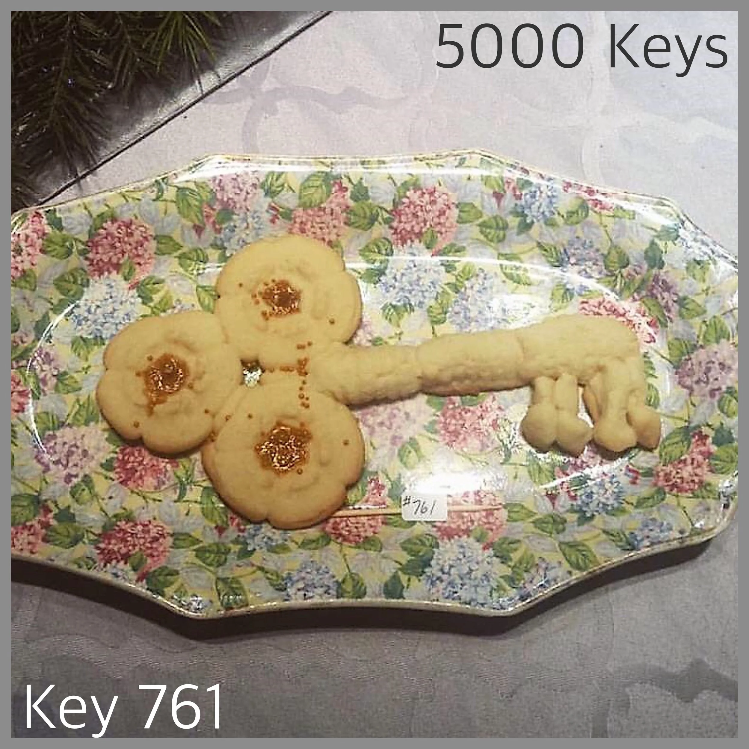 Key 761 - 1.JPG