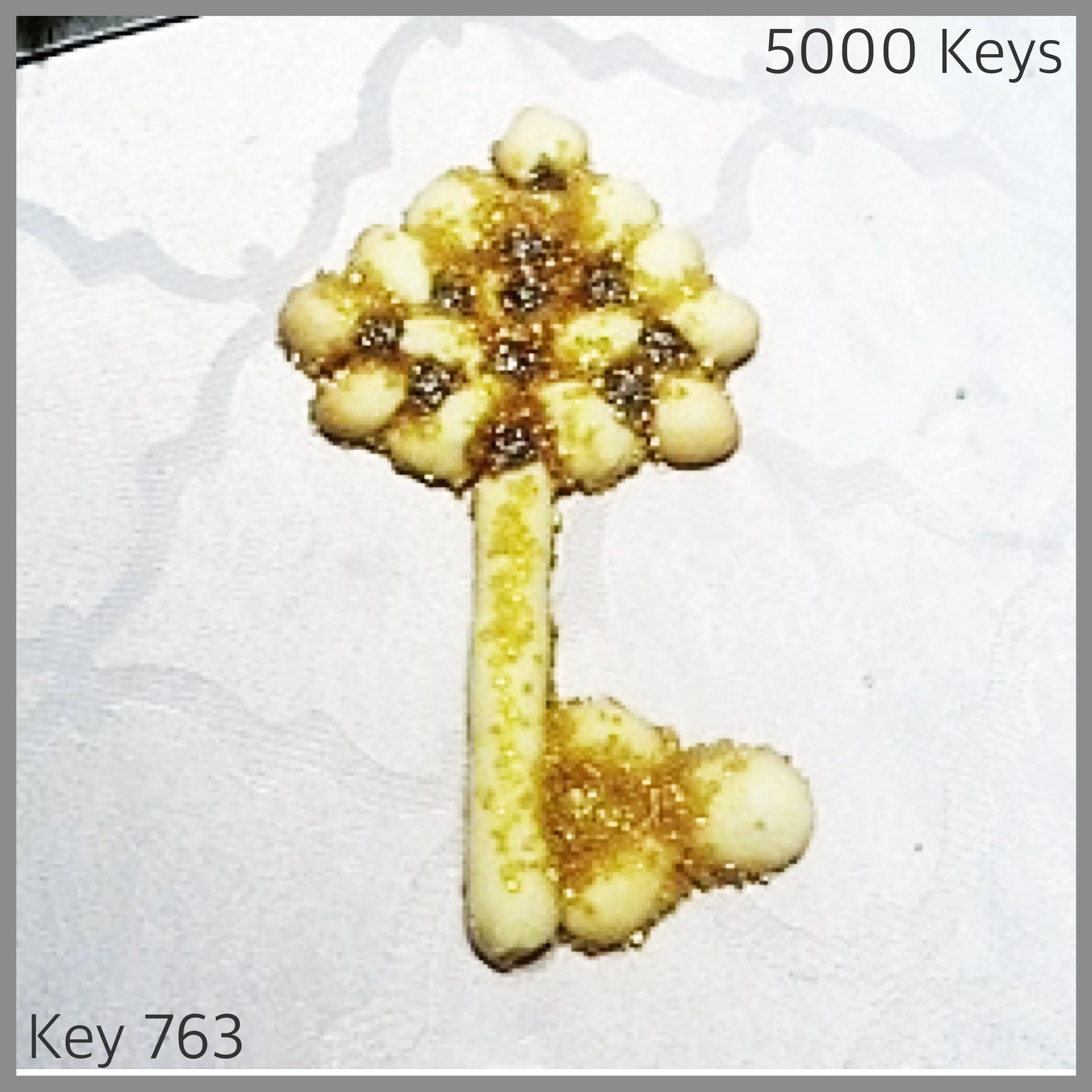 Key 763 - 1.JPG