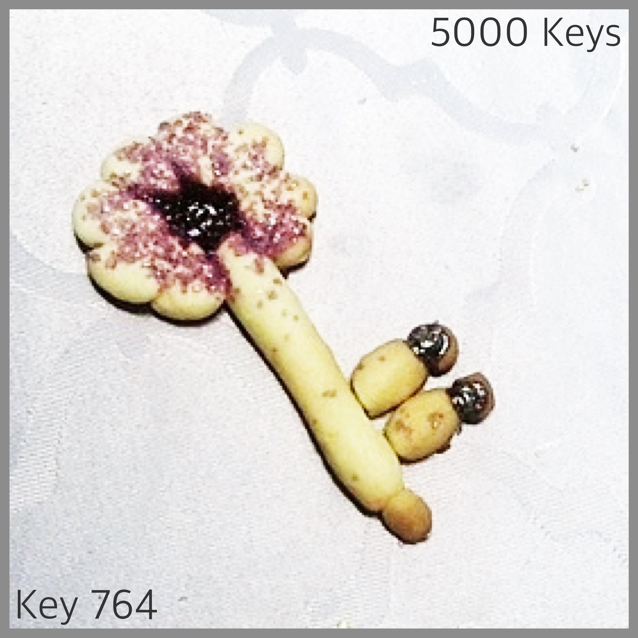 Key 764 - 1.JPG