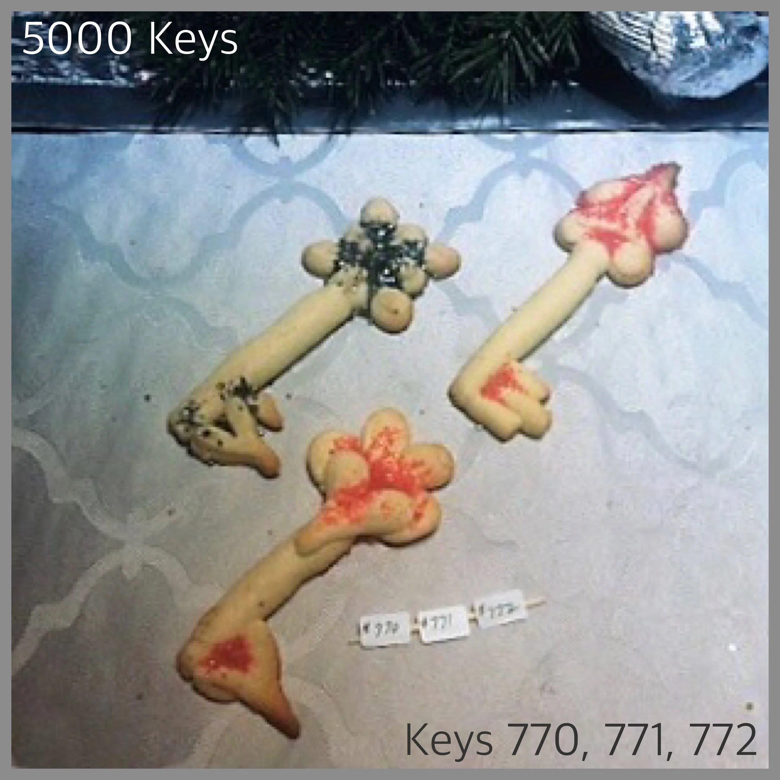 Keys 770, 771, 772 - 1.JPG