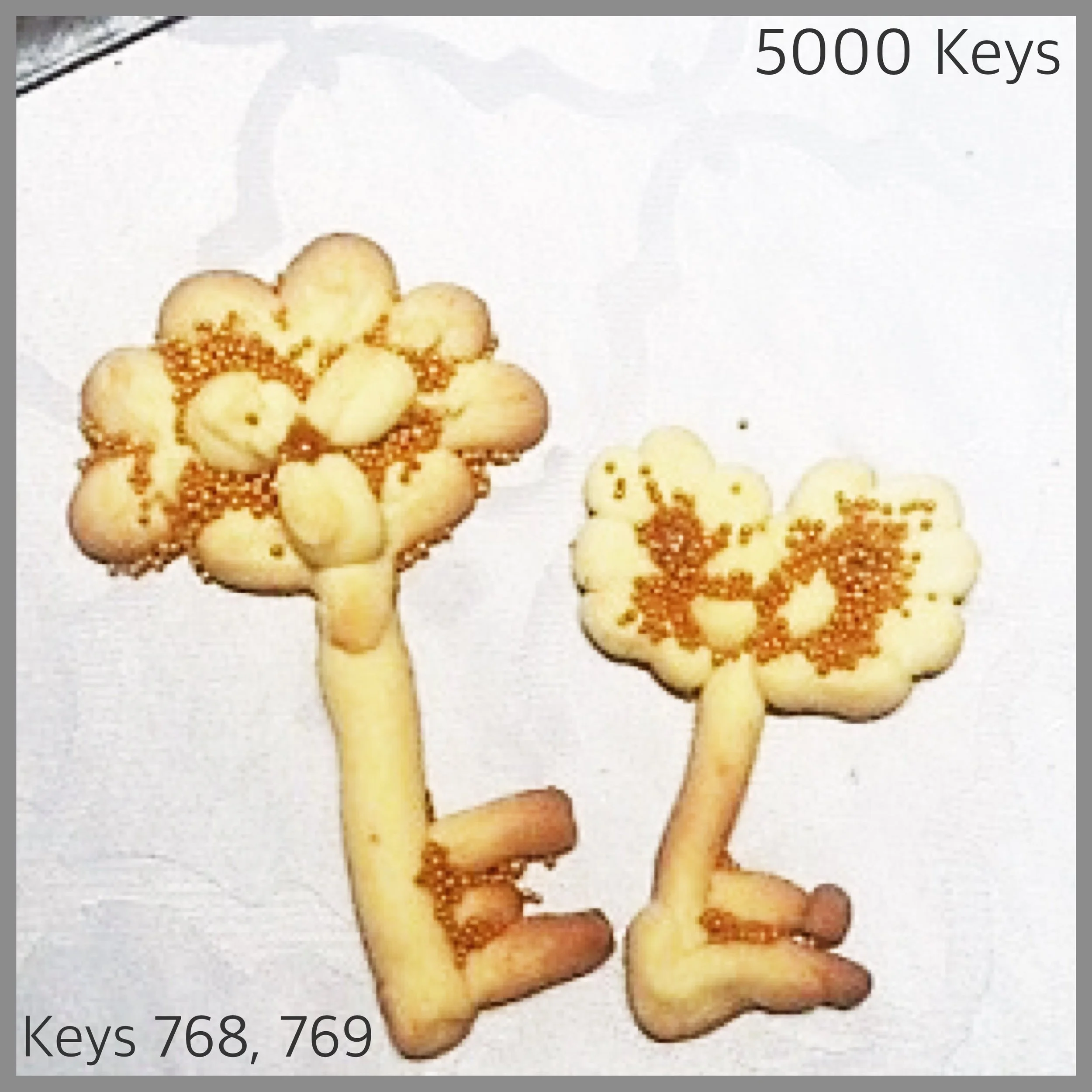 Keys 768, 769 - 1.JPG