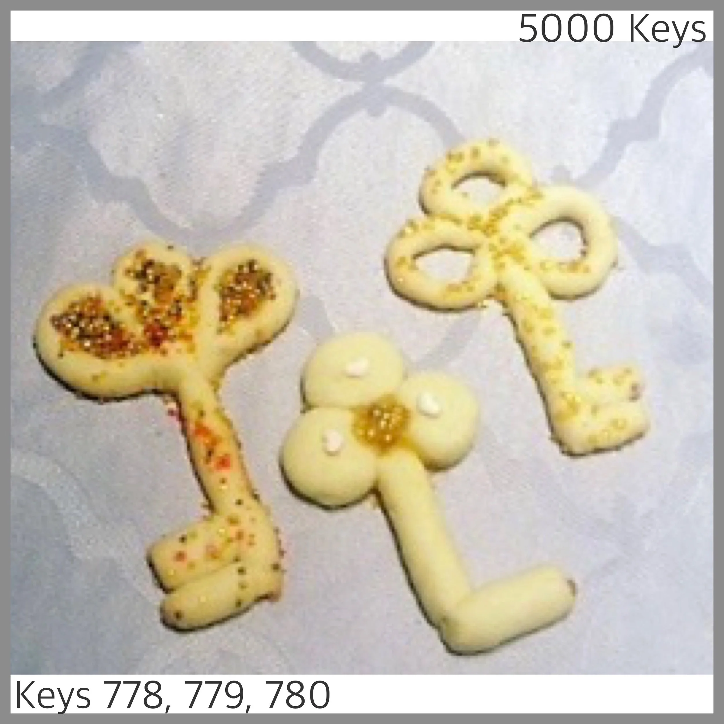 Keys 778, 779, 780 - 1.JPG