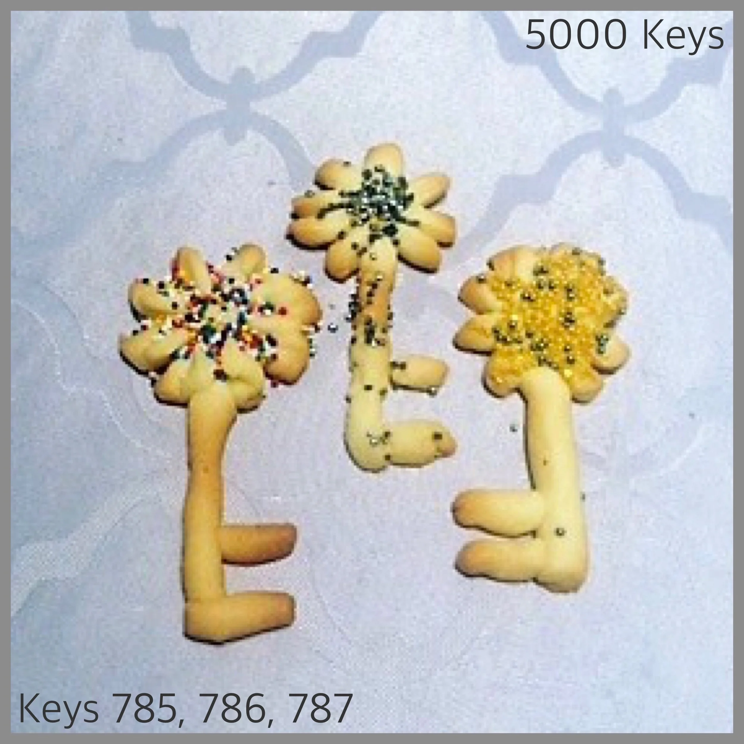 Keys 785, 786, 787 - 1.JPG