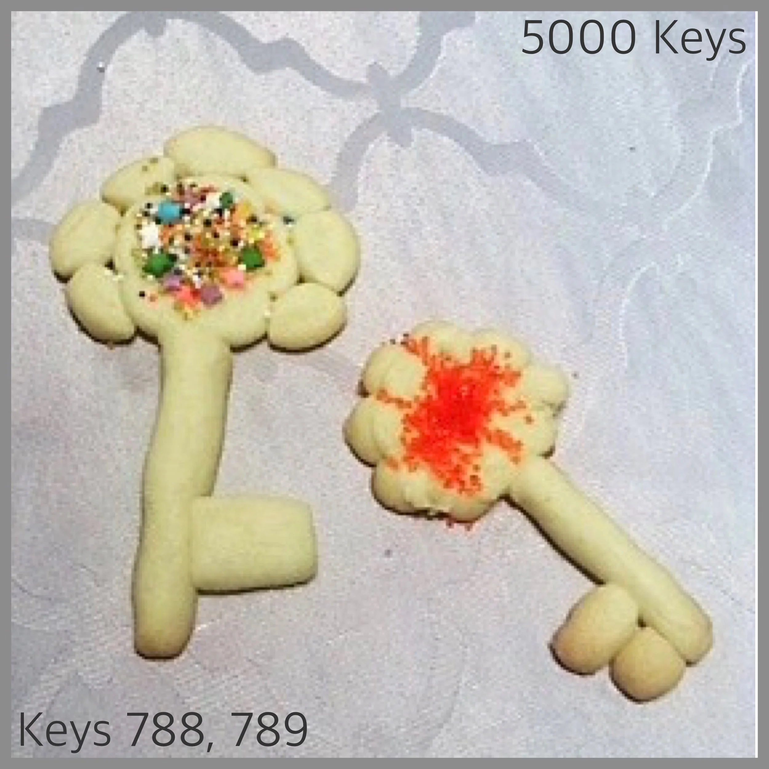 Keys 788, 789 - 1.JPG