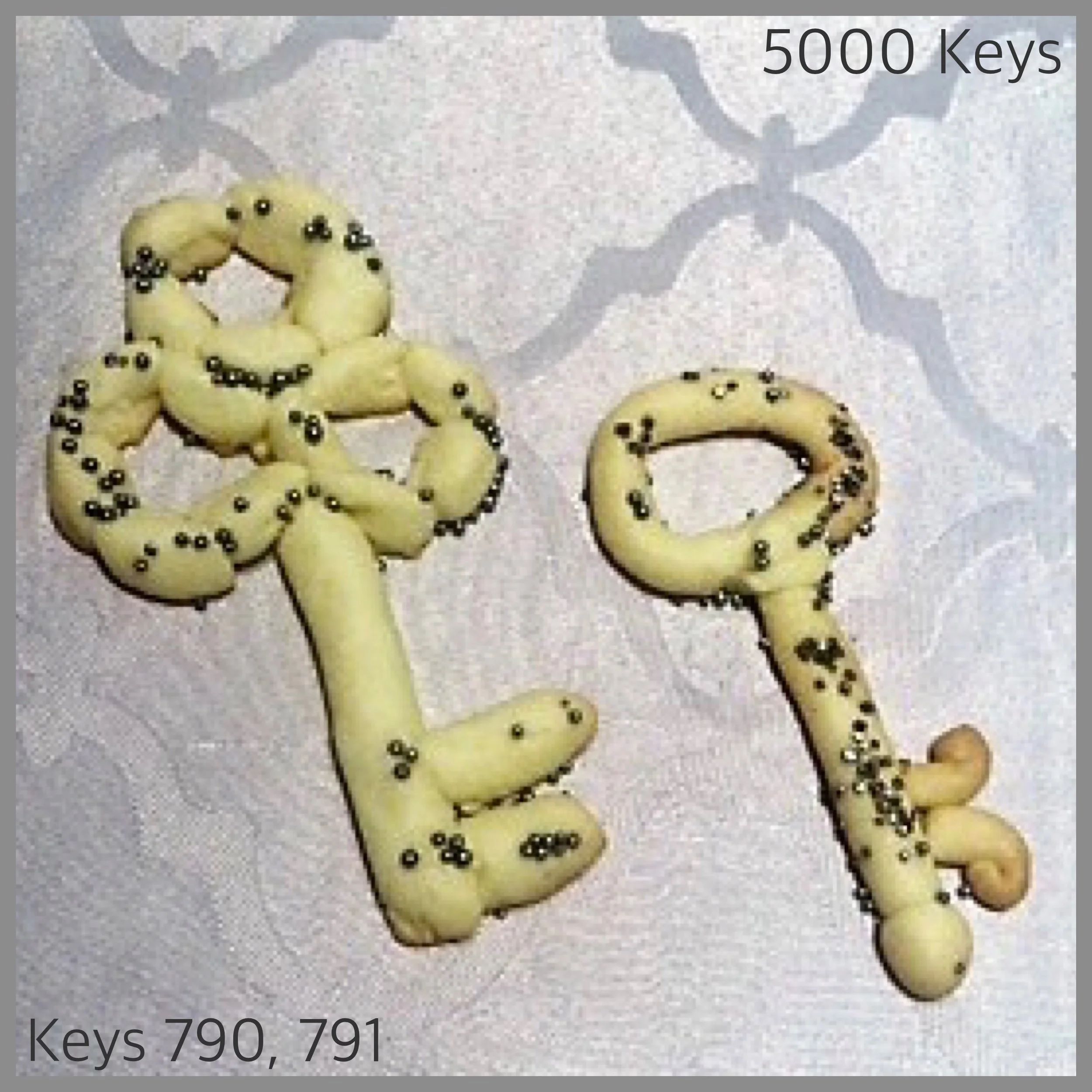 Keys 790, 791 - 1.JPG