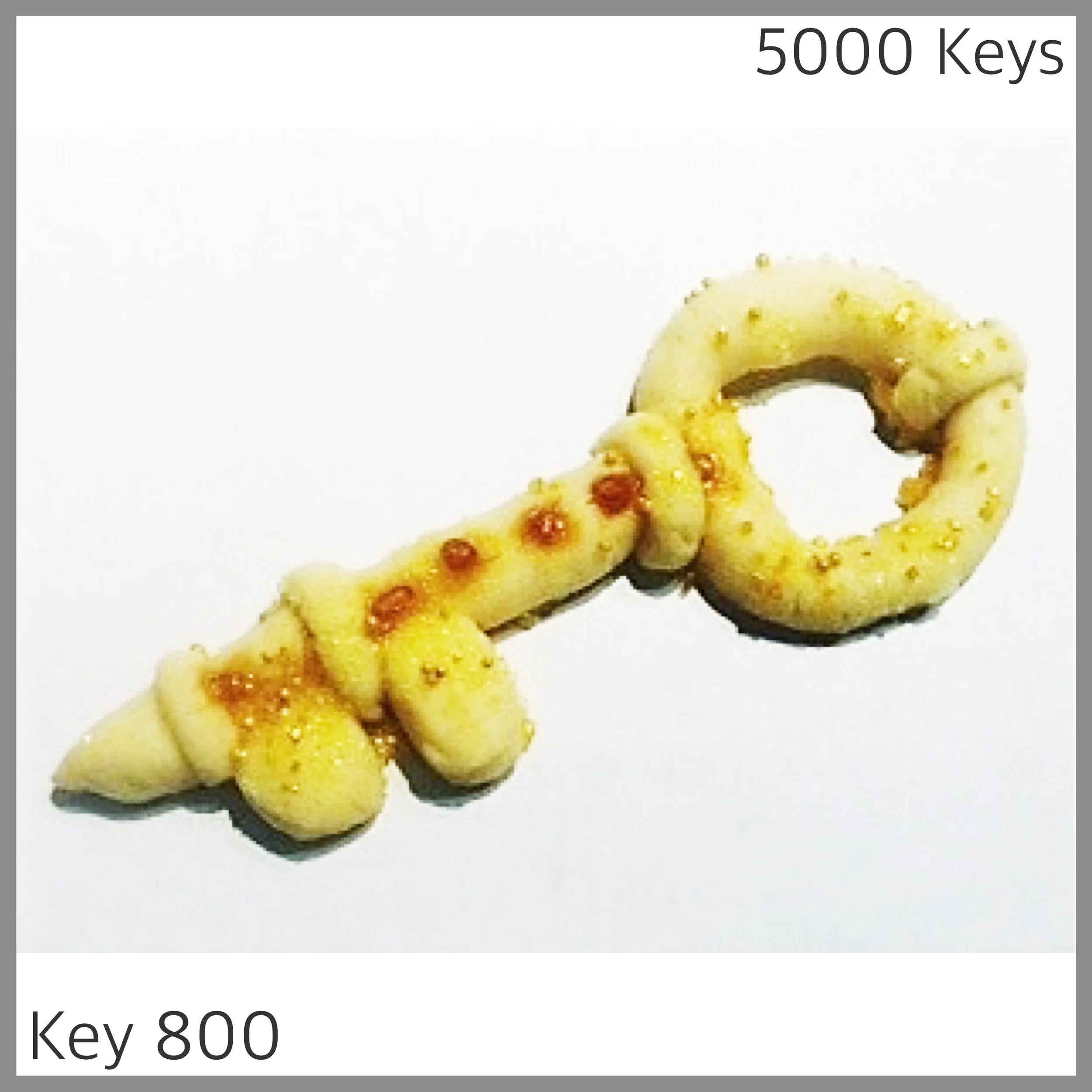 Key 800 - 1.JPG
