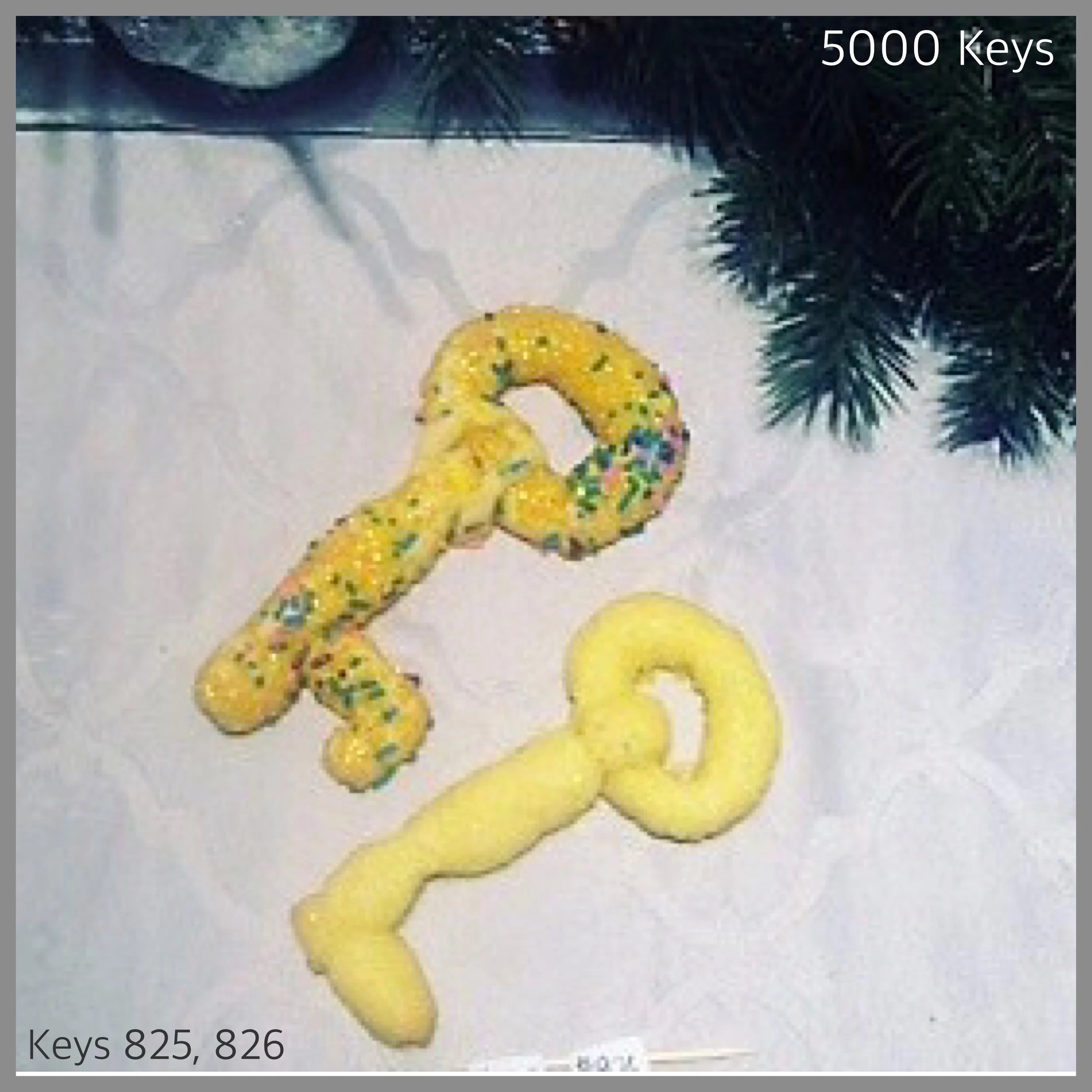 Keys 825, 826 - 1.JPG