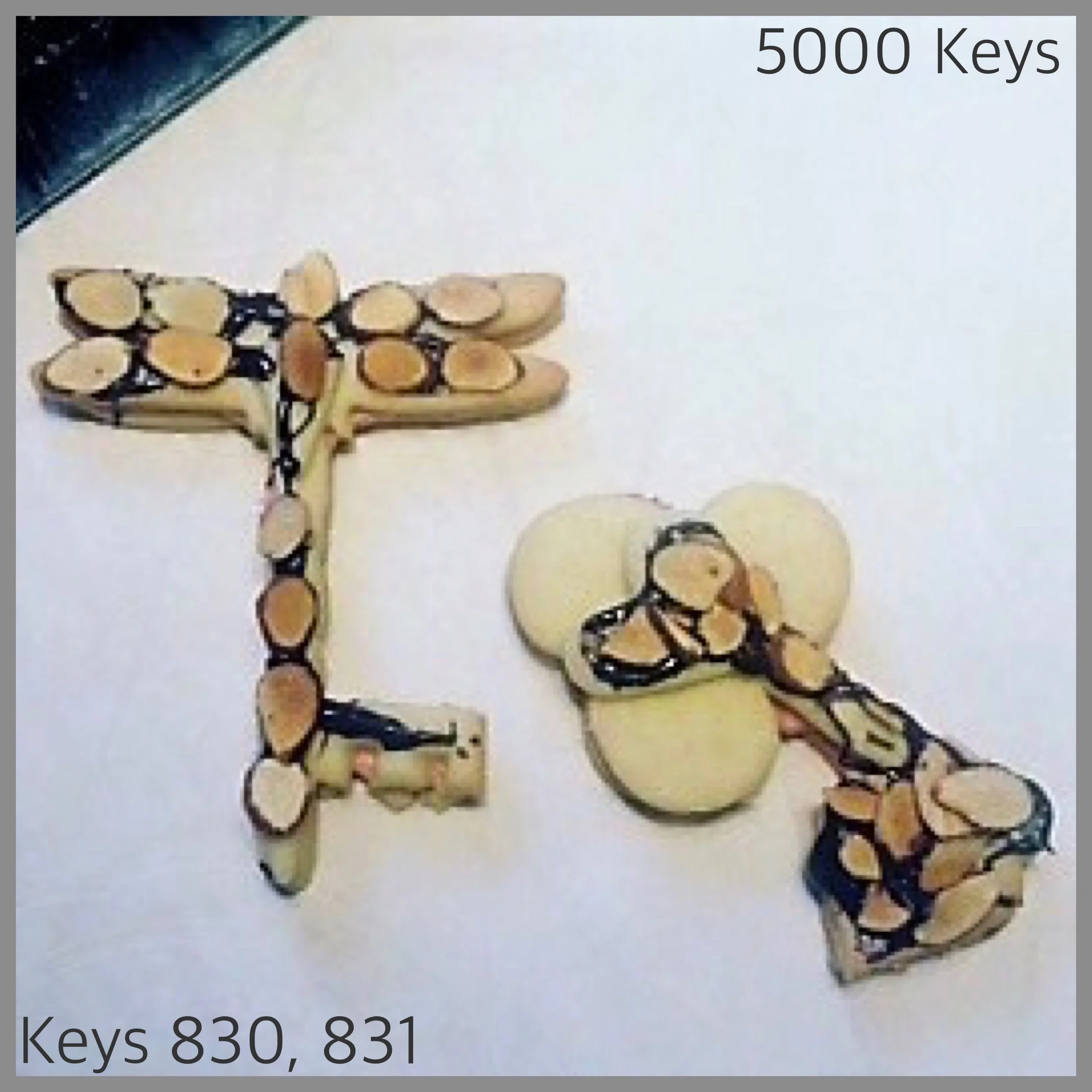 Keys 830, 831 - 1.JPG
