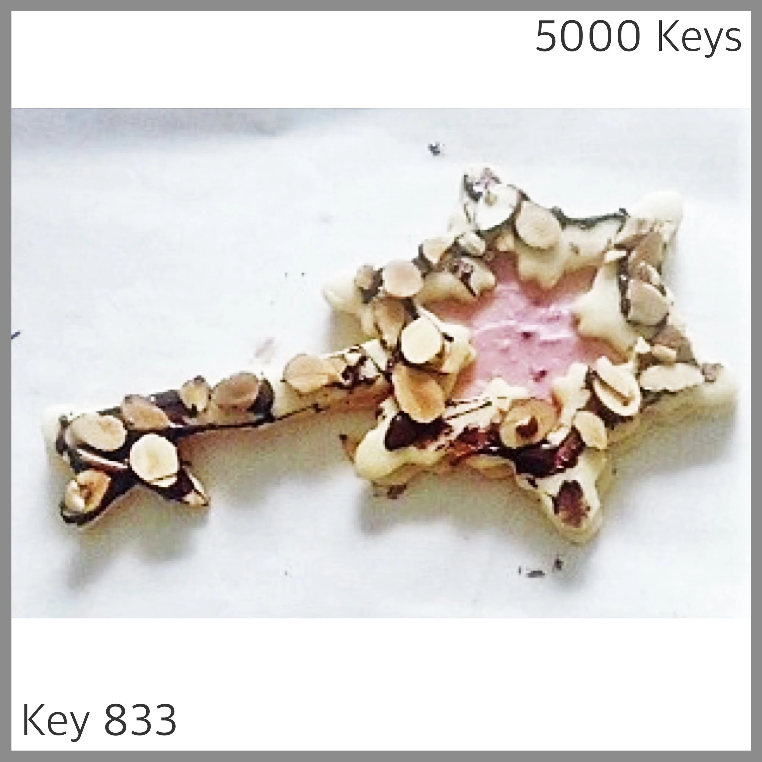 Key 833 - 1.JPG