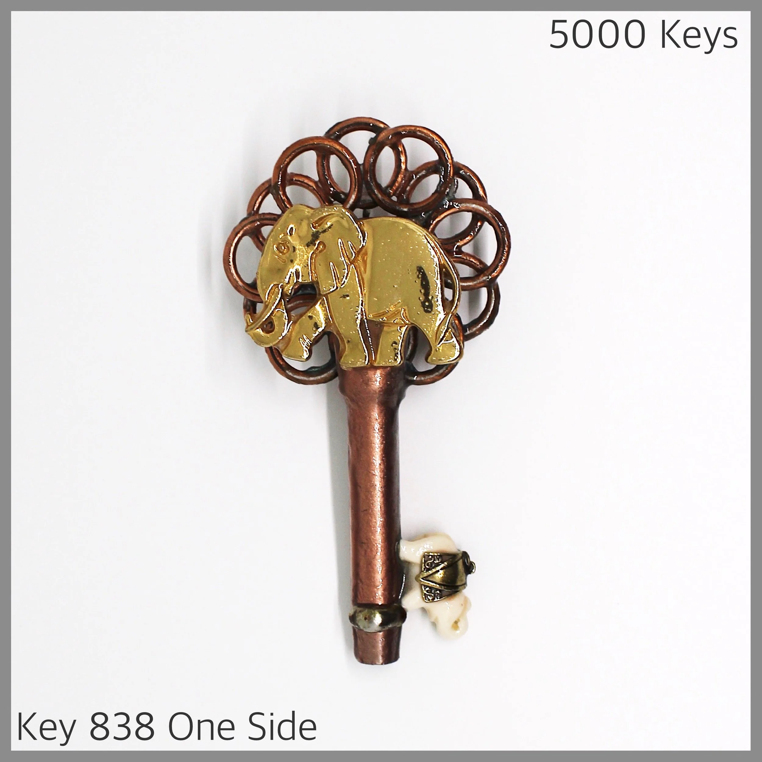 Key 838 one side - 1.JPG