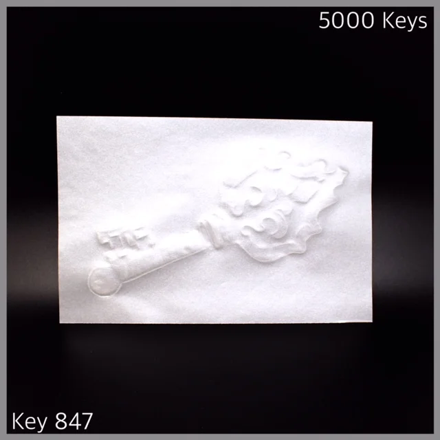 Key 847 - 1.JPG
