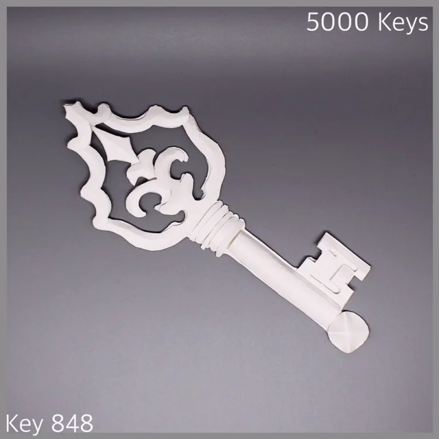 Key 848 - 1.JPG