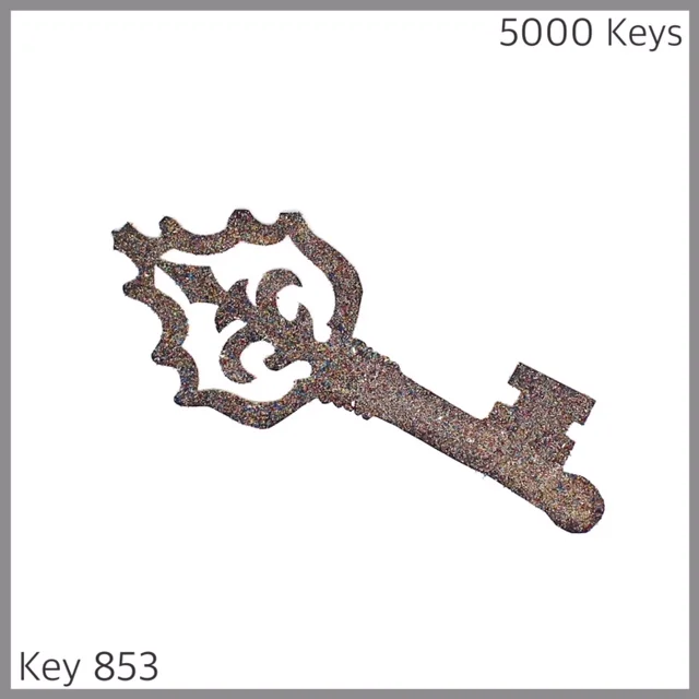 Key 853 - 1.JPG