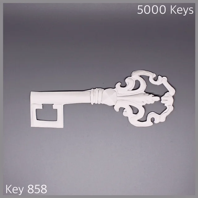 Key 858 - 1.JPG