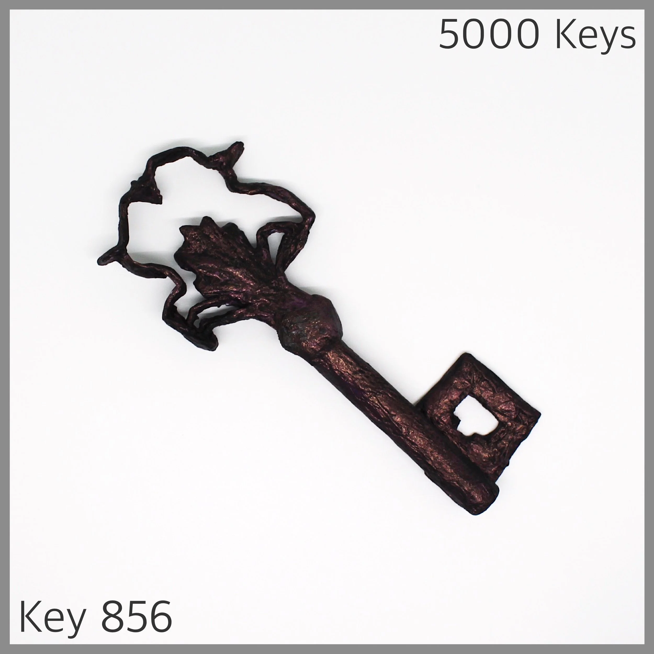 Key 856 - 1.JPG