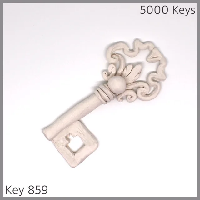 Key 859 - 1.JPG