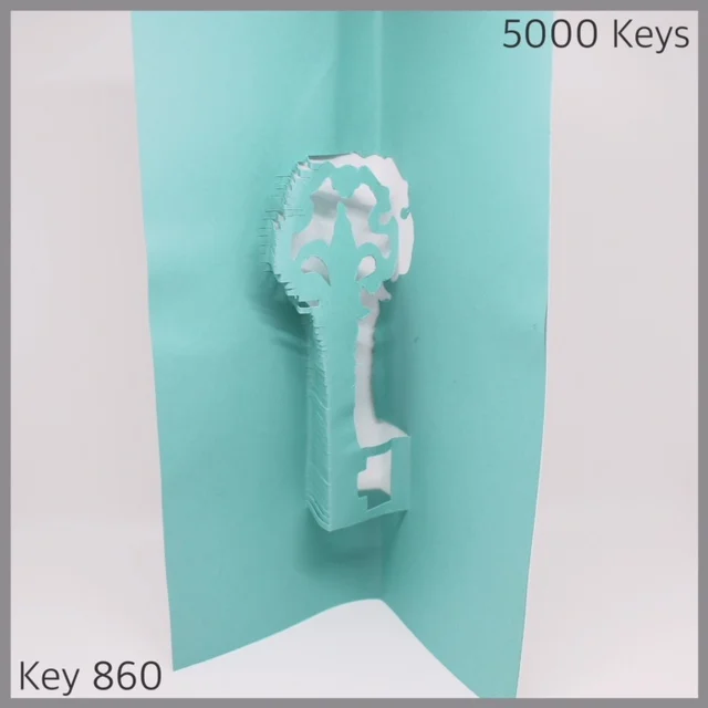 Key 860 - 1.JPG