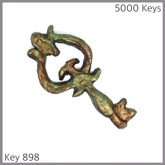 Key 898 - 1.JPG