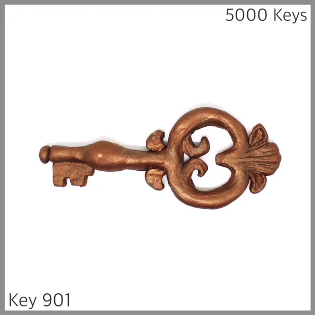 Key 901 - 1.JPG