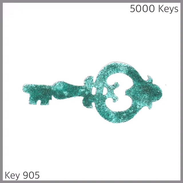 Key 905 - 1.JPG