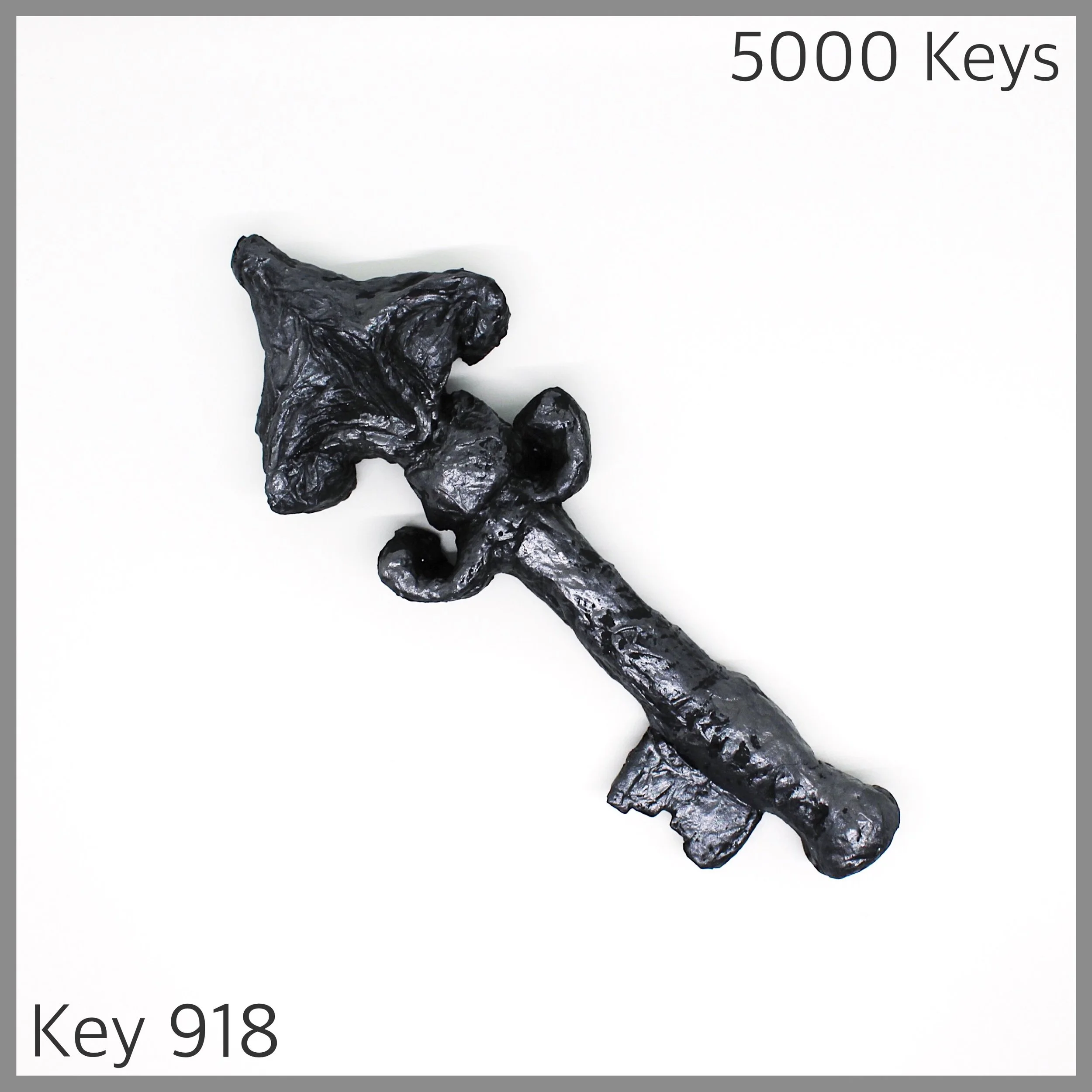 Key 918 - 1.JPG
