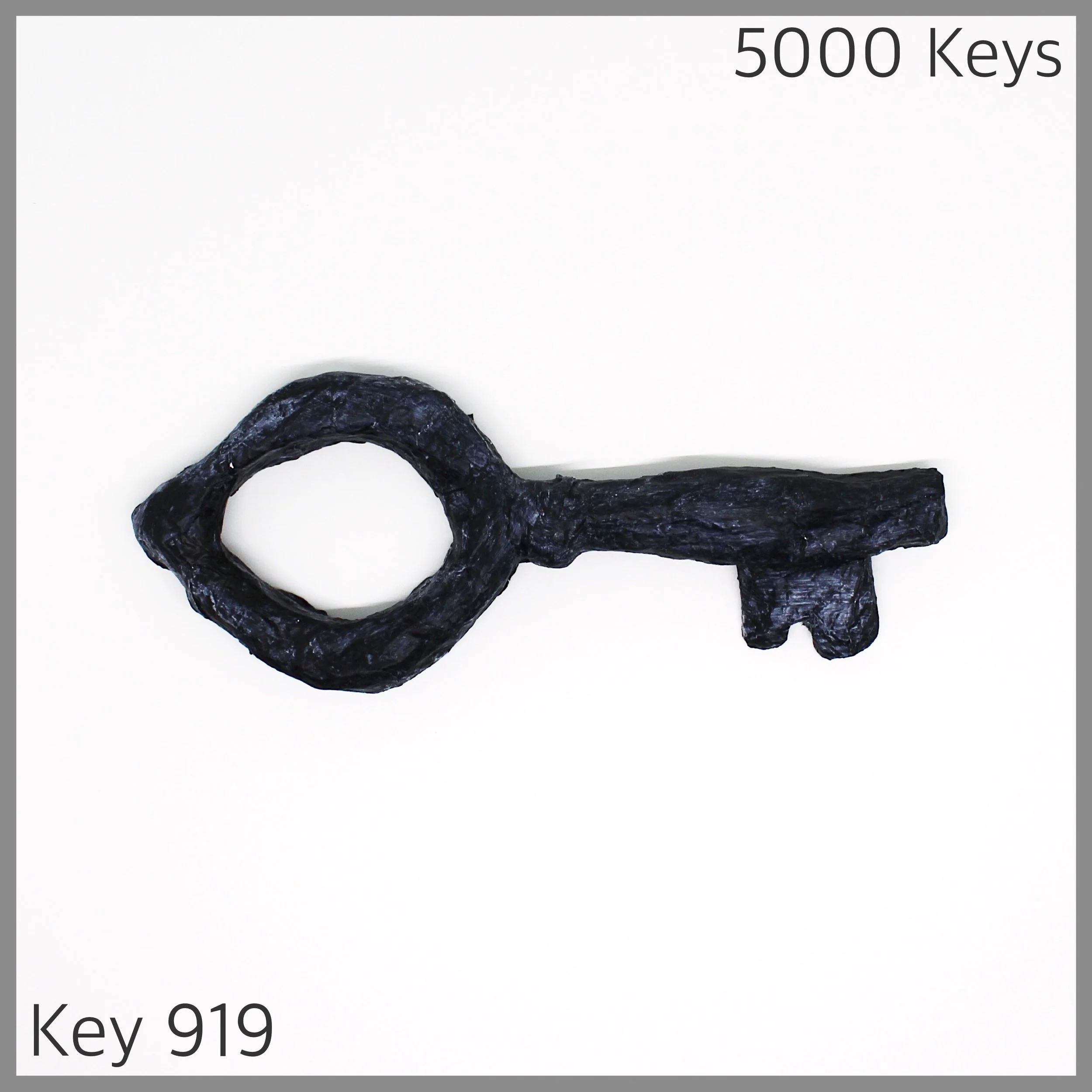 Key 919 - 1.JPG