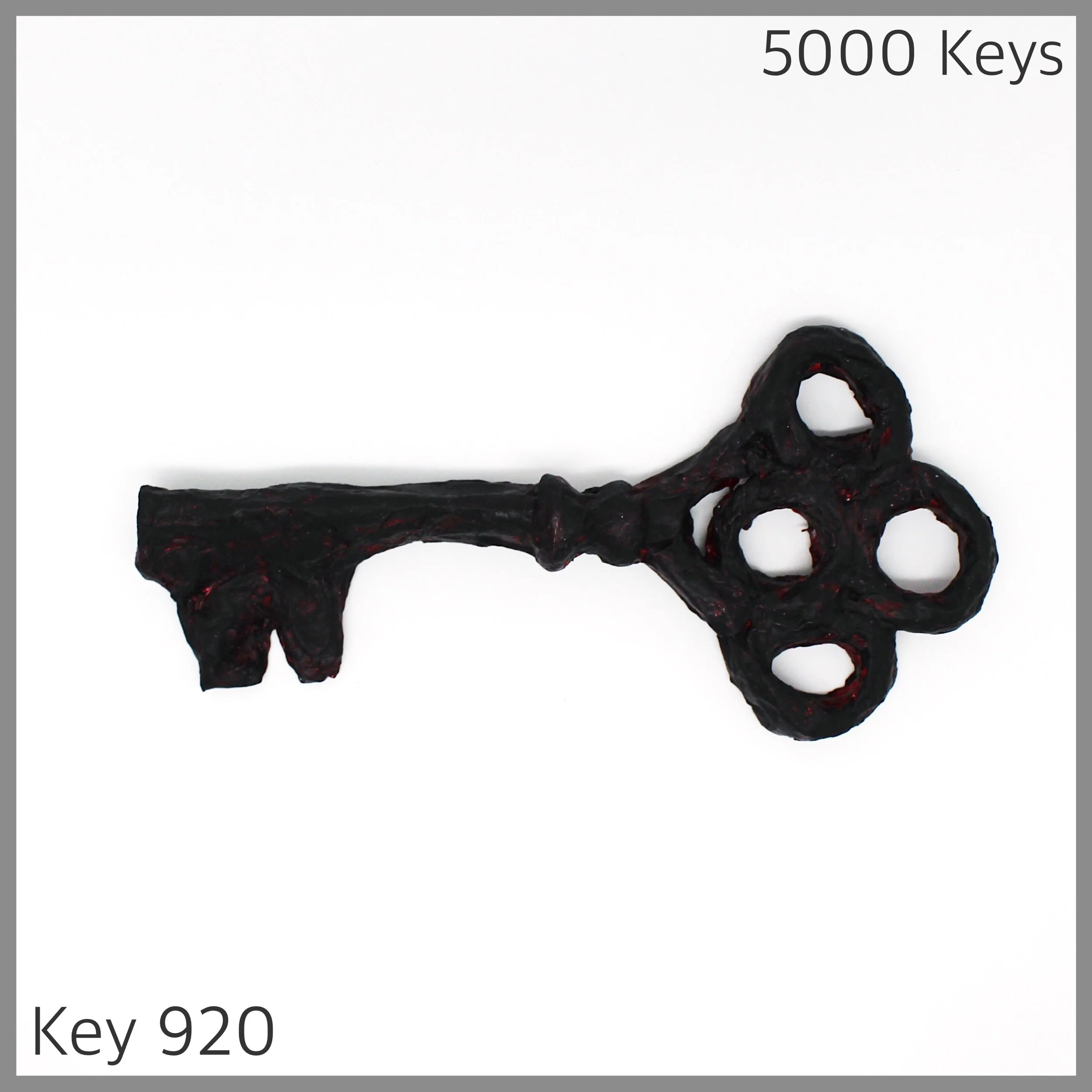 Key 920 - 1.JPG