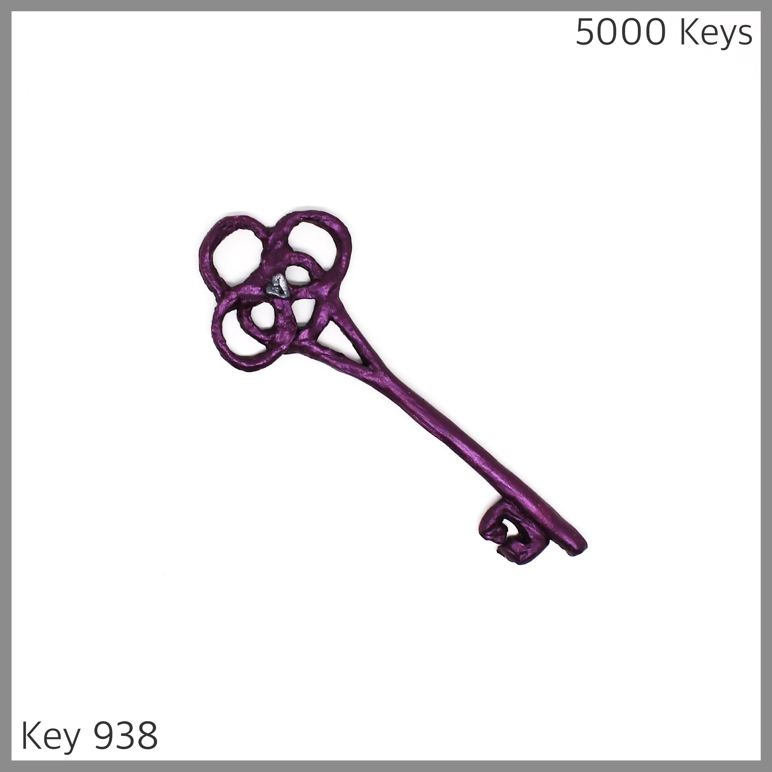 Key 938 - 1.JPG