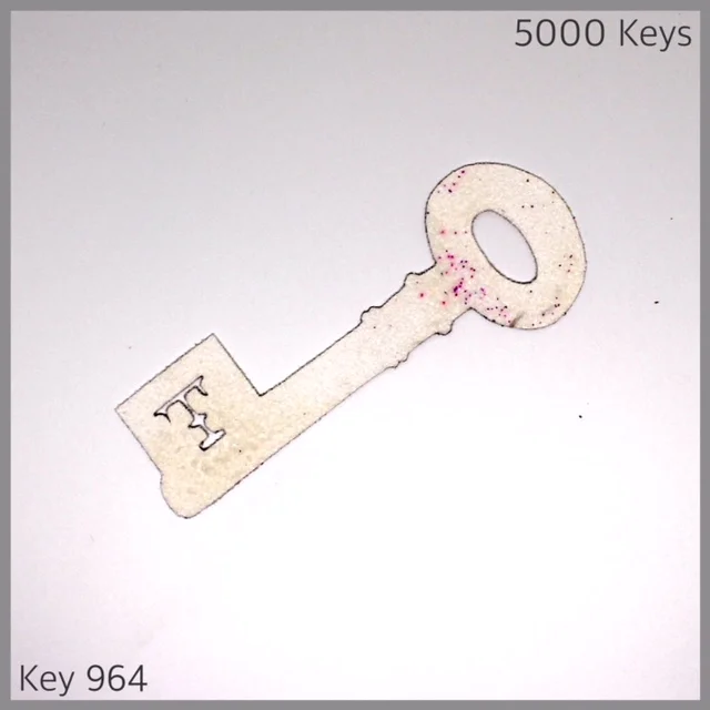 Key 964 - 1.JPG