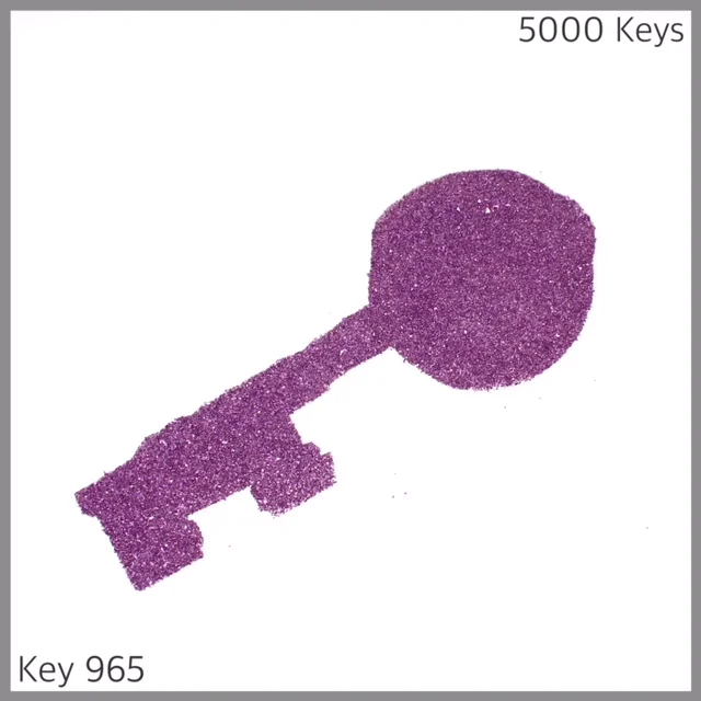 Key 965 - 1.JPG