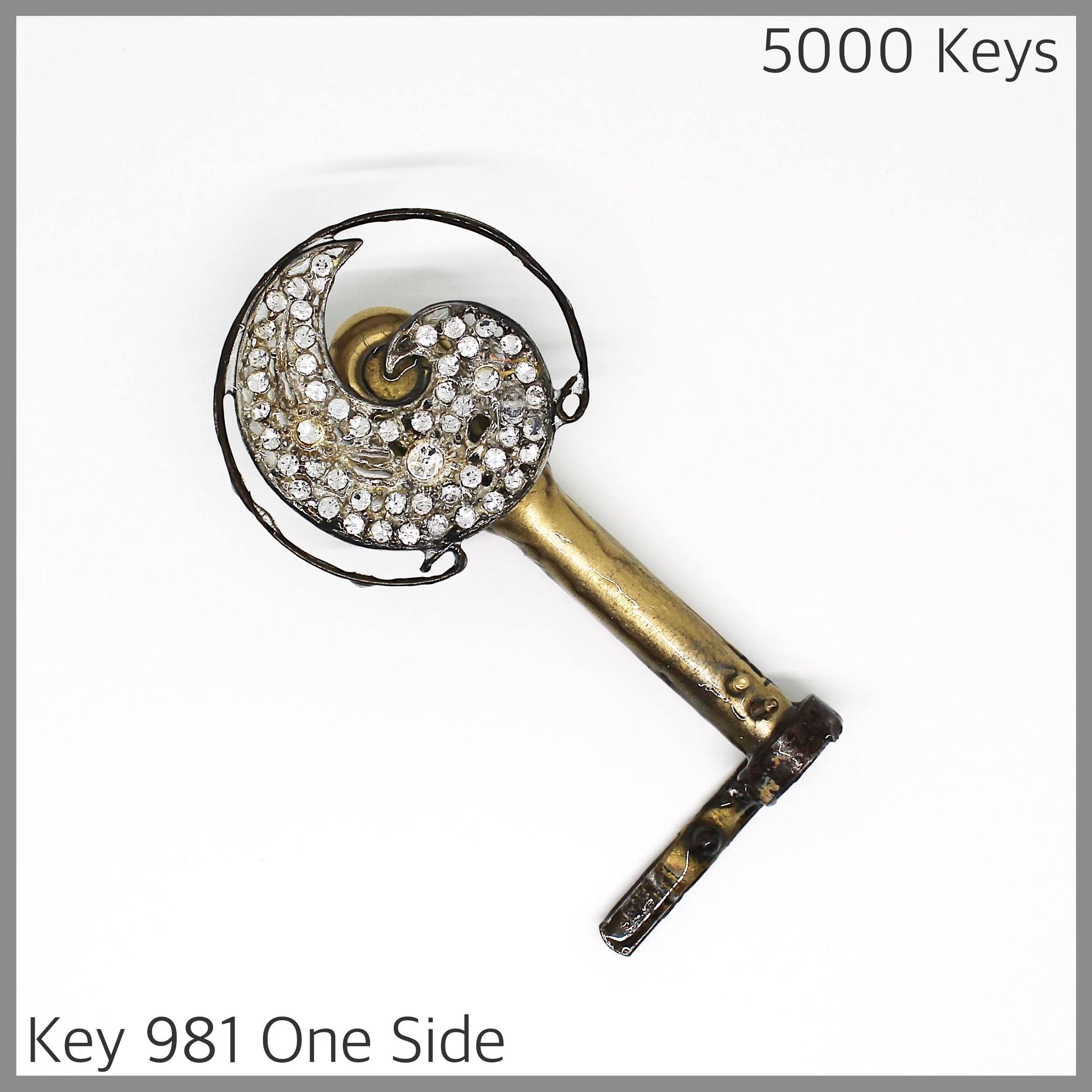 Key 981 one side - 1.JPG