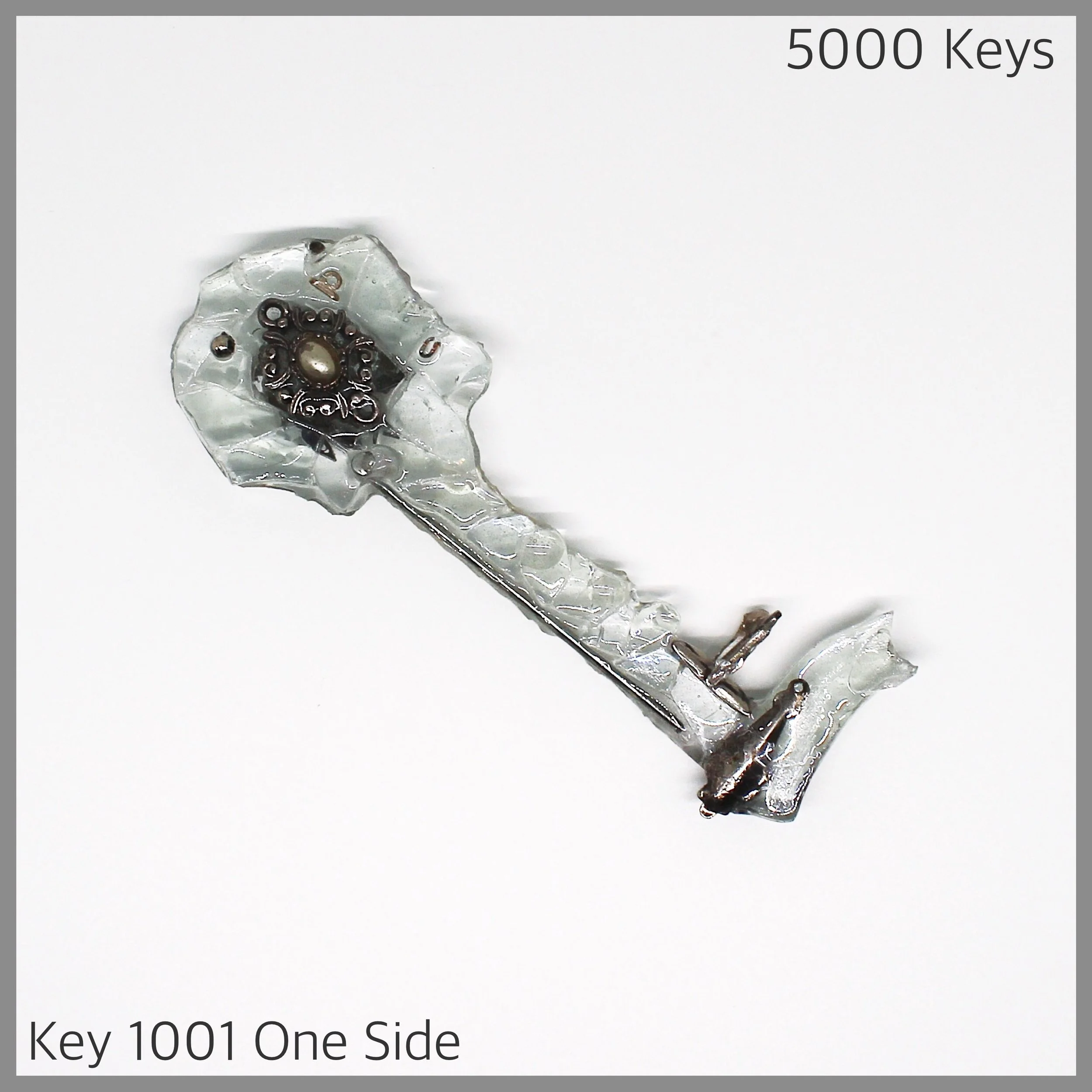 Key 1001 one side - 1.JPG
