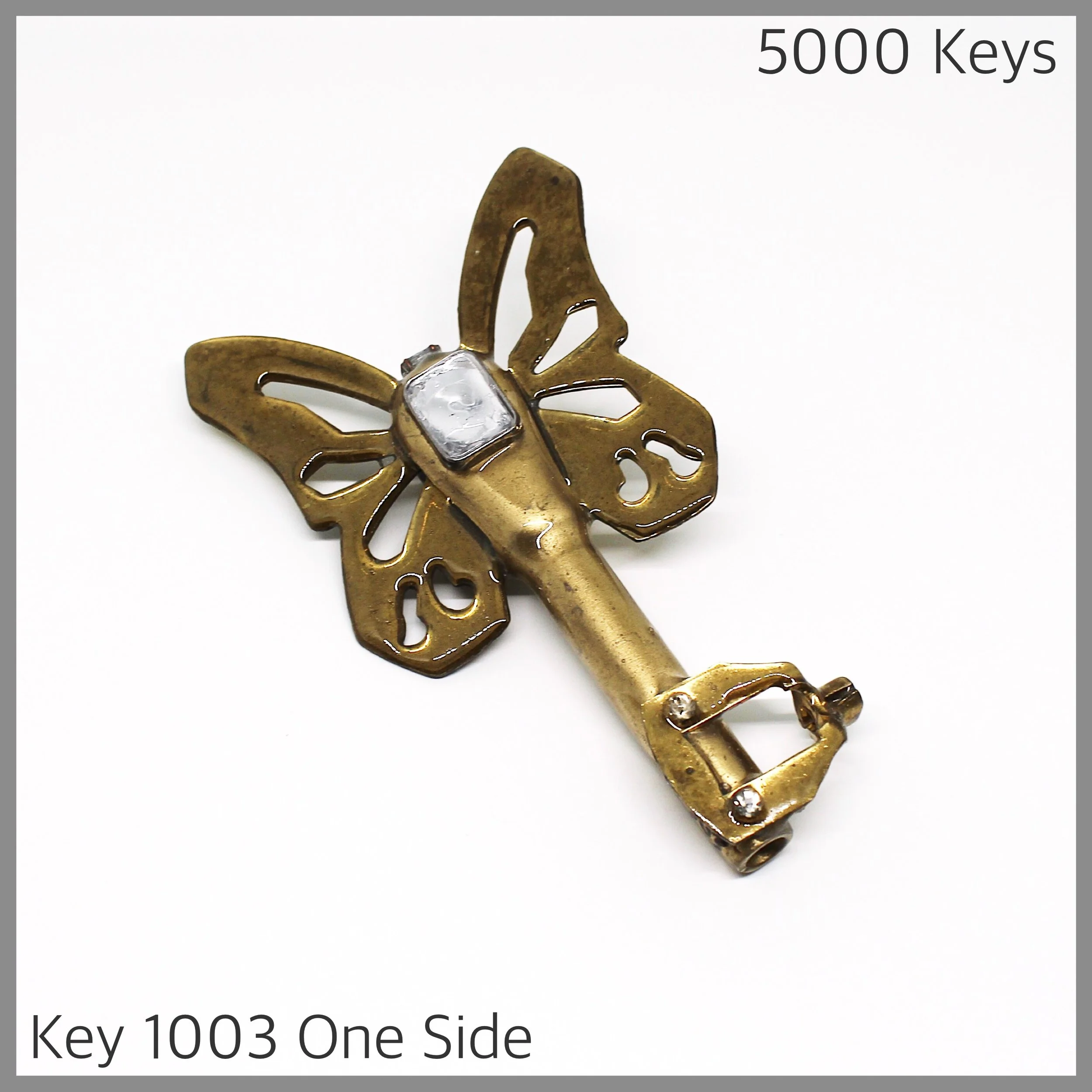 Key 1003 one side - 1.JPG